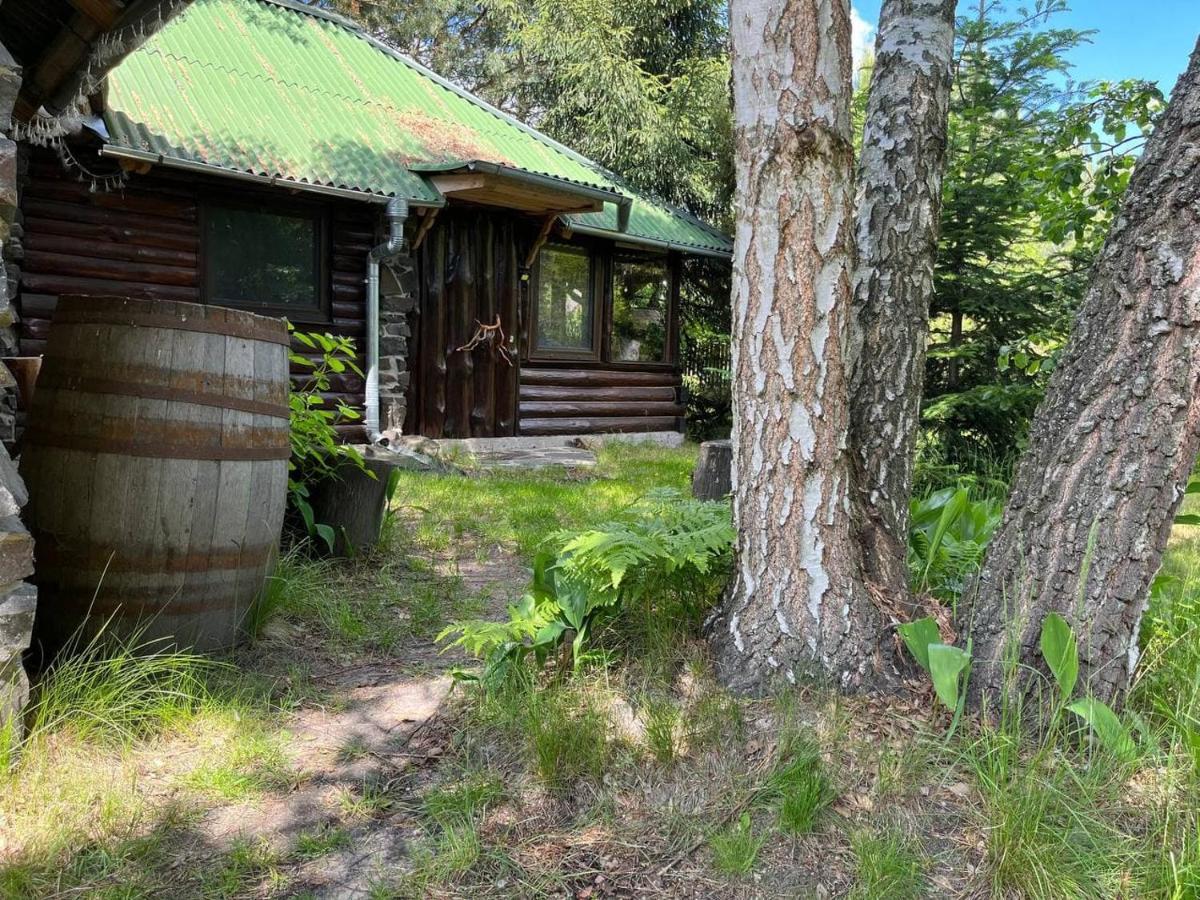 Apartamento Zelenyi Rai Svityaz' Exterior foto