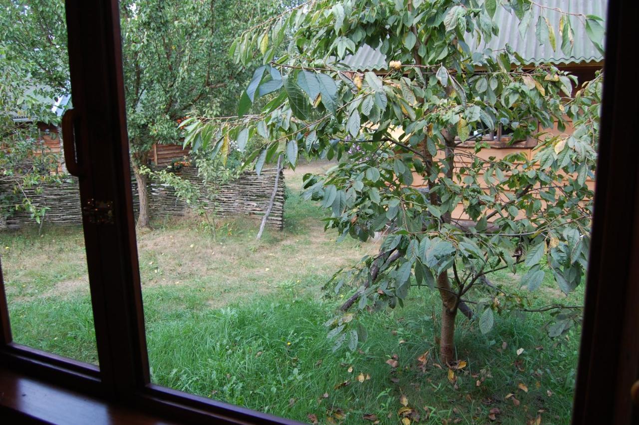 Apartamento Zelenyi Rai Svityaz' Exterior foto